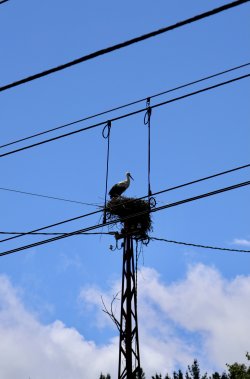 026A6075.jpeg 026A6075.jpeg