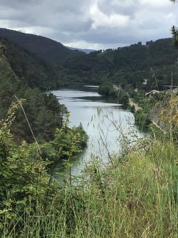 IMG_9544.jpeg IMG_9544.jpeg