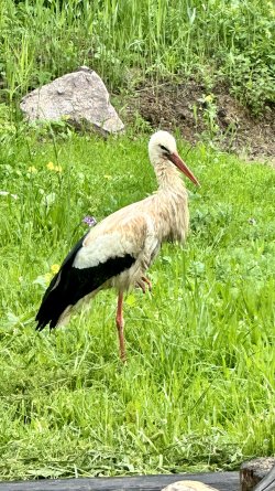 IMG_9852.jpeg IMG_9852.jpeg