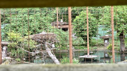 IMG_9845.jpeg IMG_9845.jpeg