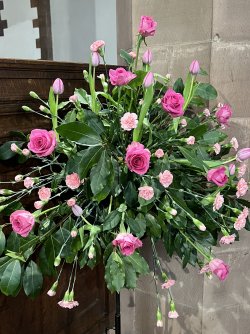 IMG_7649.JPG IMG_7649.JPG