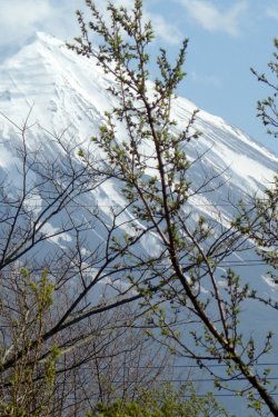 DSC05163-001.JPG
