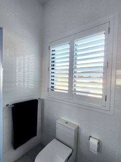 20240517_105319.jpg 20240517_105319.jpg