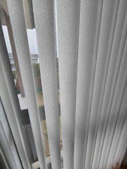 20240518_132913.jpg 20240518_132913.jpg