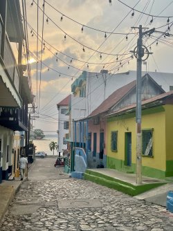 IMG_4826.jpeg IMG_4826.jpeg