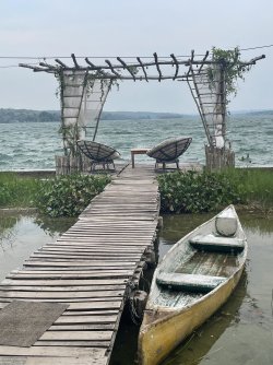 IMG_4832.jpeg IMG_4832.jpeg