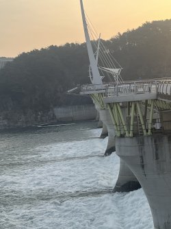 C7E73C70-9504-49AB-AFB6-C02D9A01AC8A.jpeg C7E73C70-9504-49AB-AFB6-C02D9A01AC8A.jpeg