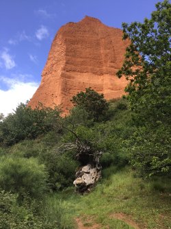 IMG_9953.jpeg IMG_9953.jpeg