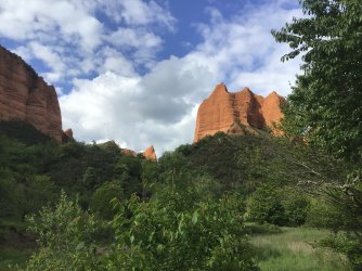 IMG_9951.jpeg IMG_9951.jpeg