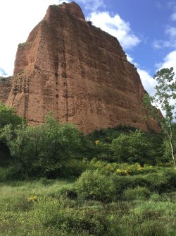 IMG_9950.jpeg IMG_9950.jpeg