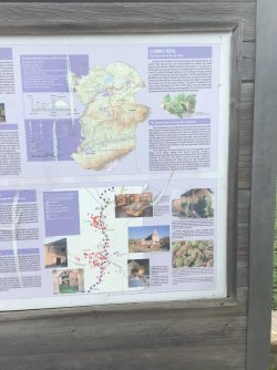 IMG_9942.jpeg IMG_9942.jpeg