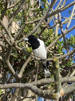 IMG_9478.jpg IMG_9478.jpg