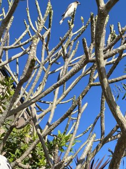 IMG_9479.jpg IMG_9479.jpg