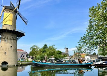 IMG_0158.jpeg IMG_0158.jpeg