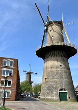 IMG_0157.jpeg IMG_0157.jpeg