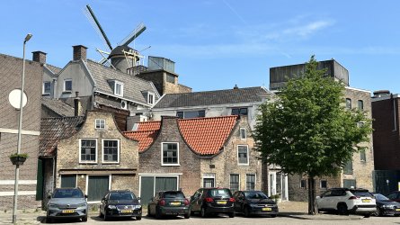 IMG_0155.jpeg IMG_0155.jpeg