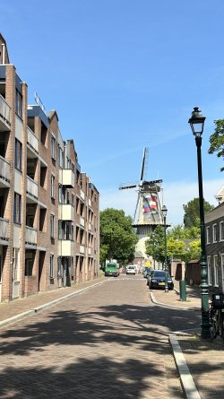 IMG_0151.jpeg IMG_0151.jpeg