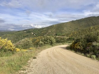 IMG_9963.jpeg IMG_9963.jpeg