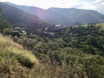 IMG_9962.jpeg IMG_9962.jpeg