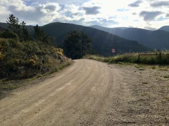 IMG_9964.jpeg IMG_9964.jpeg