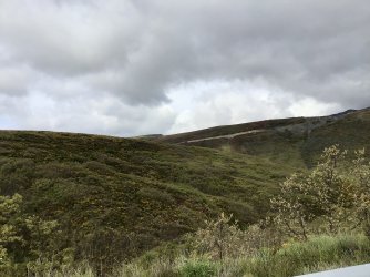 IMG_9969.jpeg IMG_9969.jpeg