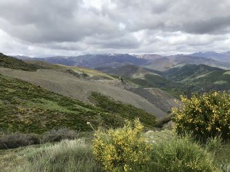 IMG_9984.jpeg IMG_9984.jpeg