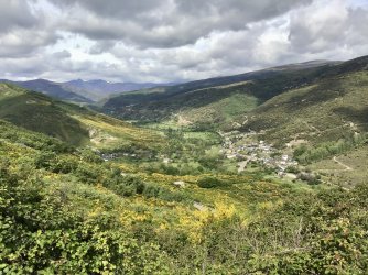 IMG_9978.jpeg IMG_9978.jpeg