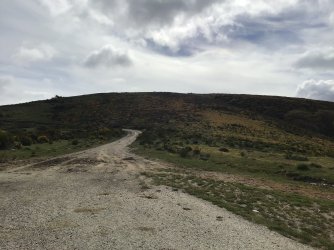 IMG_9976.jpeg IMG_9976.jpeg