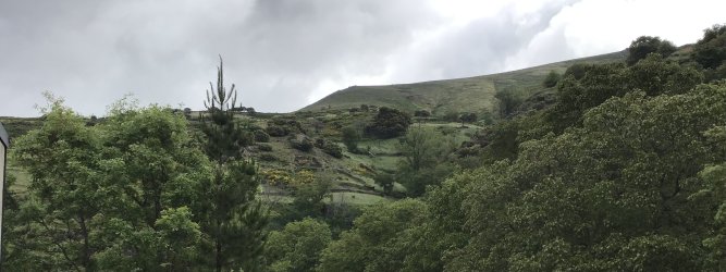 IMG_9967.jpeg IMG_9967.jpeg