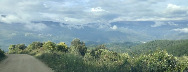 IMG_9958.jpeg IMG_9958.jpeg