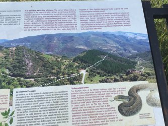 IMG_9961.jpeg IMG_9961.jpeg