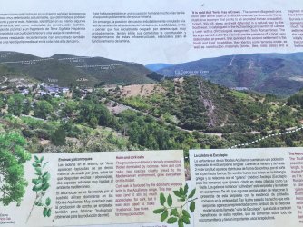 IMG_9960.jpeg IMG_9960.jpeg