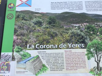 IMG_9959.jpeg IMG_9959.jpeg