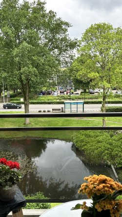 IMG_0165.jpeg IMG_0165.jpeg