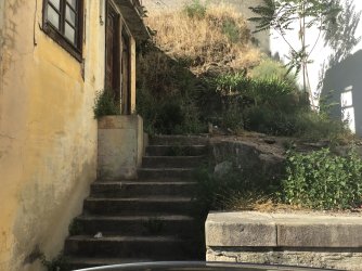 IMG_0282.jpeg IMG_0282.jpeg