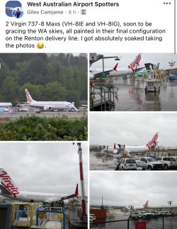 IMG_4503.jpeg IMG_4503.jpeg