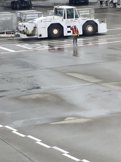 IMG_9138.jpg IMG_9138.jpg