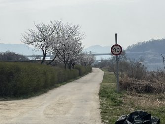 F86AE750-8639-415D-BD8D-CD60594BF517.jpeg F86AE750-8639-415D-BD8D-CD60594BF517.jpeg