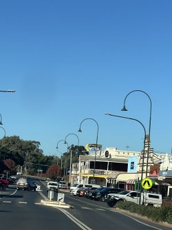IMG_9988.jpeg IMG_9988.jpeg