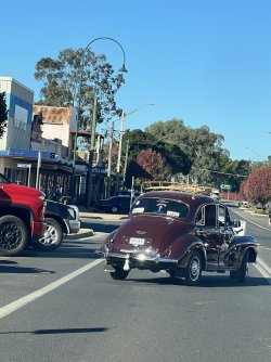IMG_9990.jpeg IMG_9990.jpeg