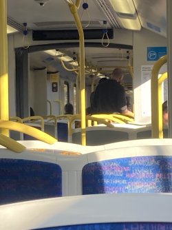 IMG_8233.jpeg IMG_8233.jpeg