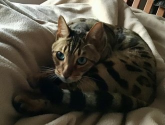 IMG_0479.jpeg IMG_0479.jpeg