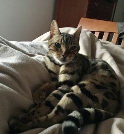 IMG_0478.jpeg IMG_0478.jpeg