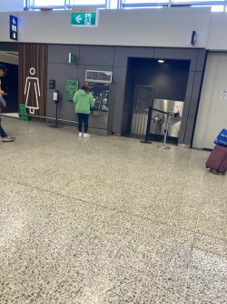 IMG_8339.jpeg IMG_8339.jpeg