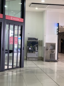 IMG_8337.jpeg IMG_8337.jpeg