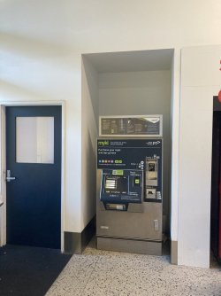 IMG_8335.jpeg IMG_8335.jpeg