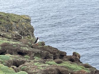 IMG_4325.jpeg IMG_4325.jpeg