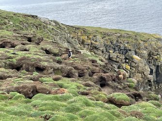 IMG_4324.jpeg IMG_4324.jpeg