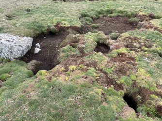 IMG_4329.jpeg IMG_4329.jpeg