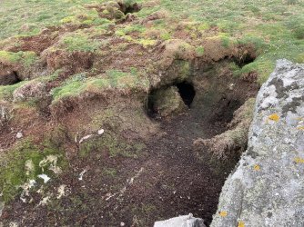 IMG_4330.jpeg IMG_4330.jpeg